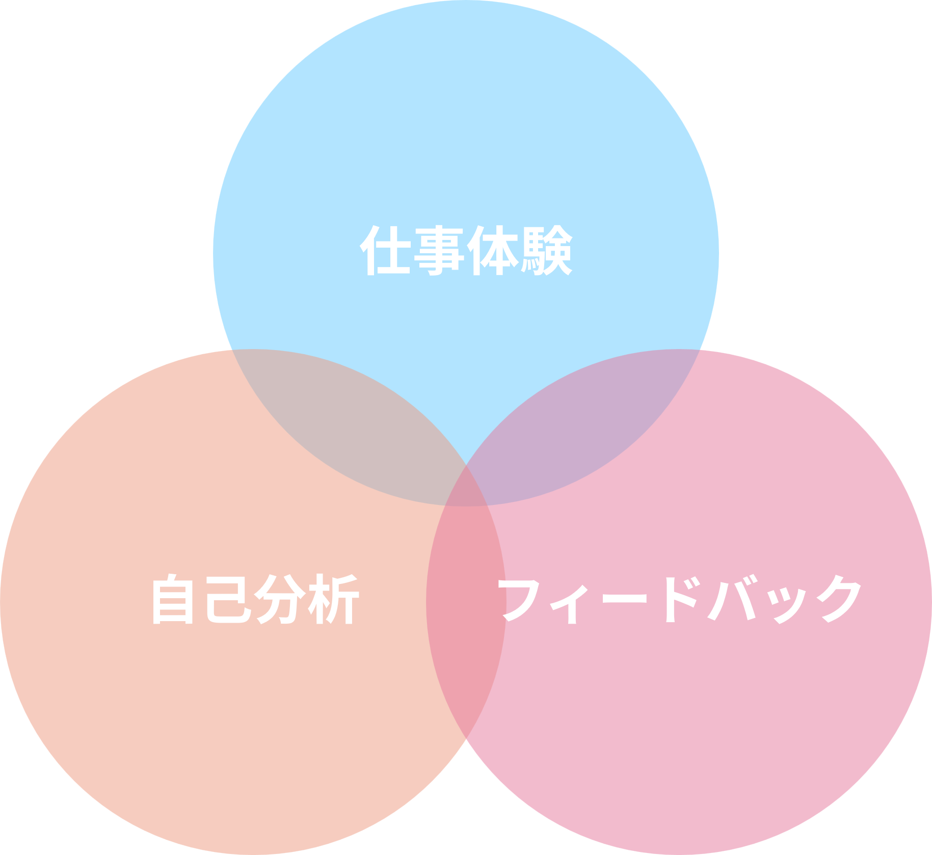 仕事体験・自己分析・フィードバック